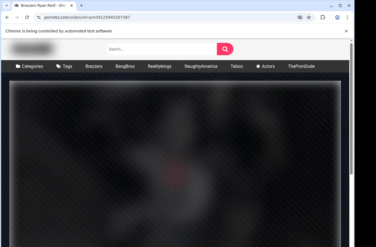 Pornmz Video Downloader browser extension screenshot 2