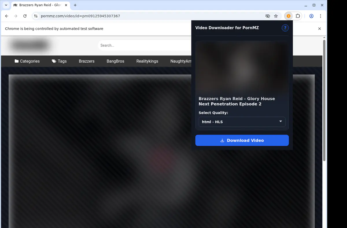 Pornmz Video Downloader browser extension screenshot 3