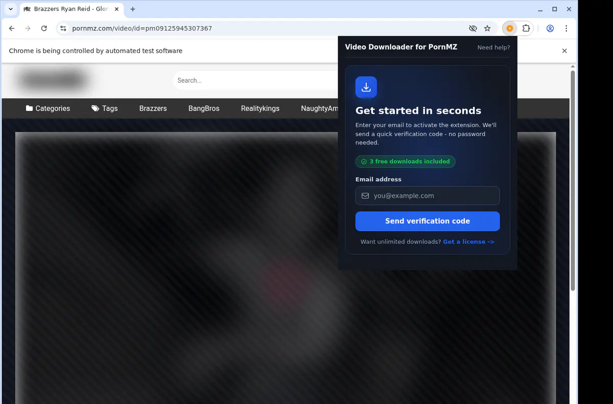 Pornmz Video Downloader browser extension screenshot 5